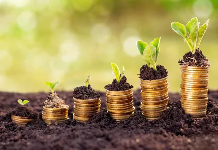 Customer Insights: How to Maximise Profit With Your Top Spending Customers