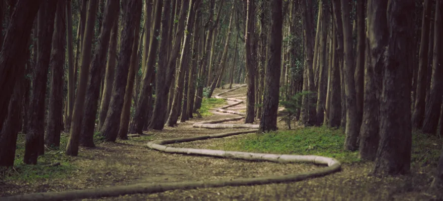 Kundensegmentierung - So analysieren Sie die Customer Journey Ihrer Kunden durch Ihre Segmente.