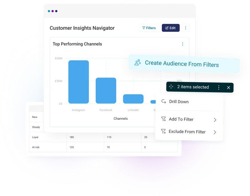 Leverage critical information about your customer base