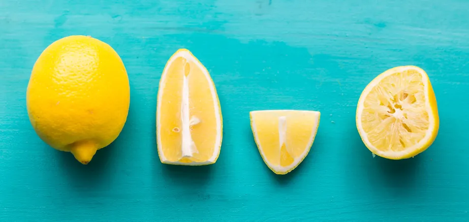 Lemon segments