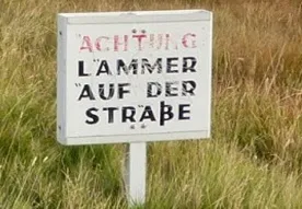 Ziel erreicht! 