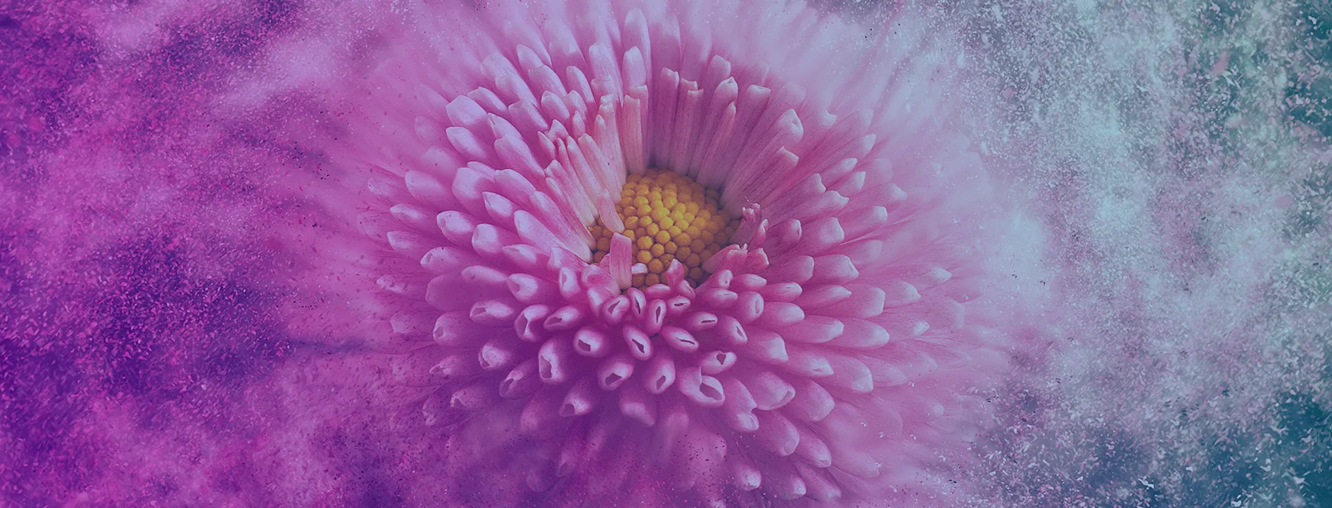 6 Data-driven presentation tips for marketers