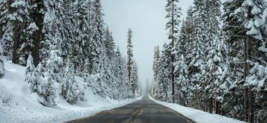 Das Wetter spielt mal wieder nicht mit? Ab jetzt schon mit wetterabhängigen Marketingkampagnen