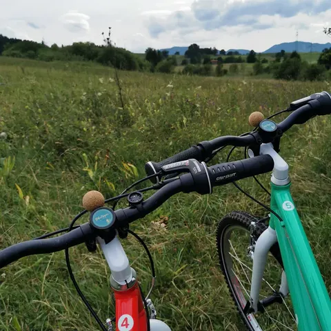 Zughilfe für Kinderfahrräder – Bild 8