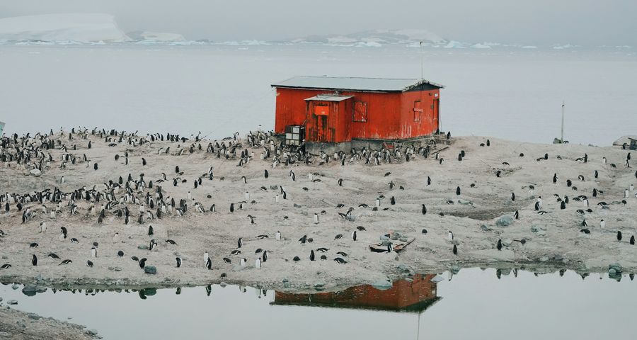 Sanctuaire ou grand air, quelle école choisir ?