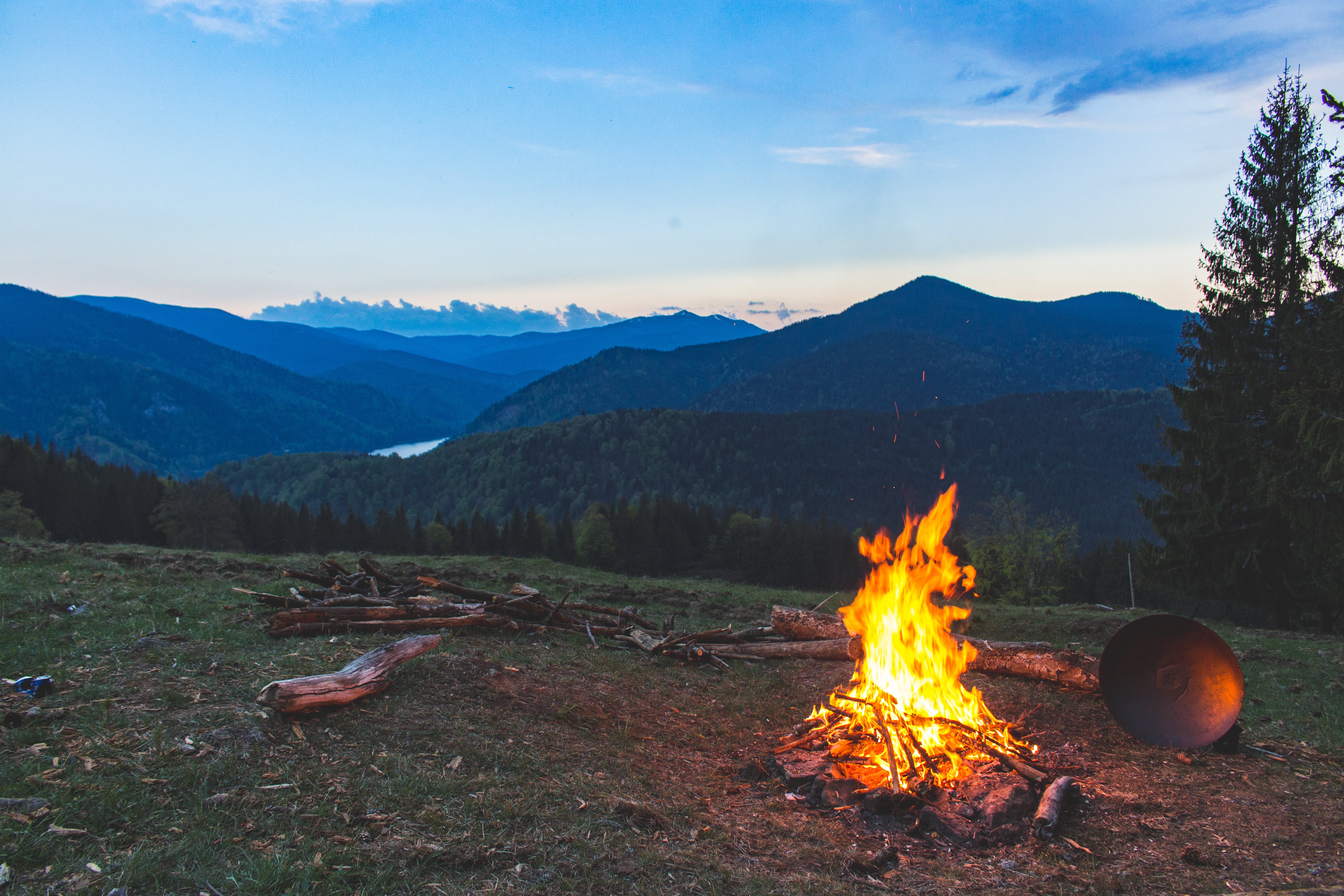 campfire in a forest