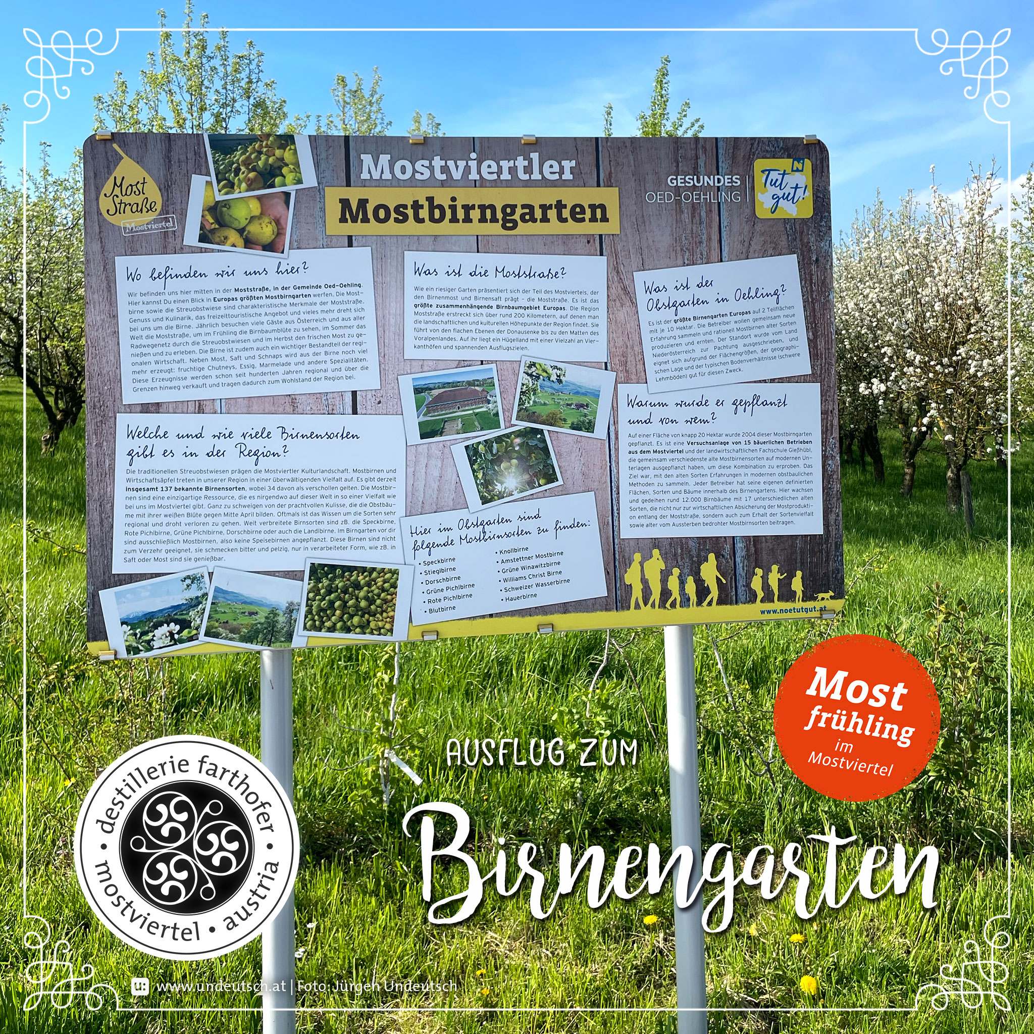Schritt für Schritt zum Mostbirngarten
