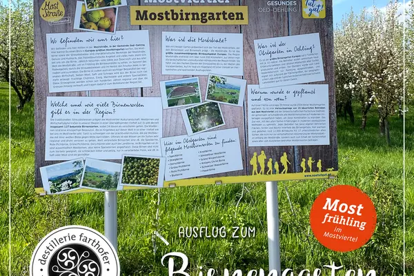 Schritt für Schritt zum Mostbirngarten