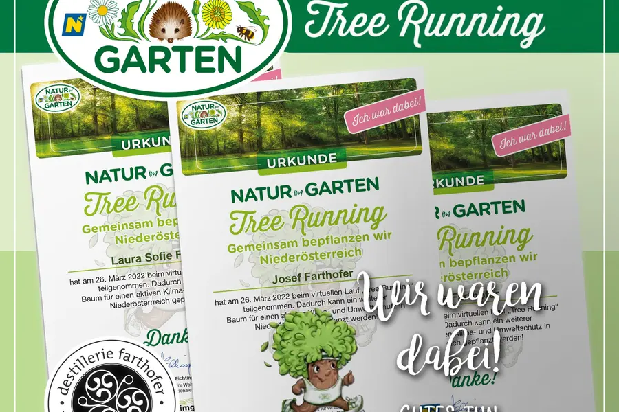 Aktuelles – Tree Running 2022