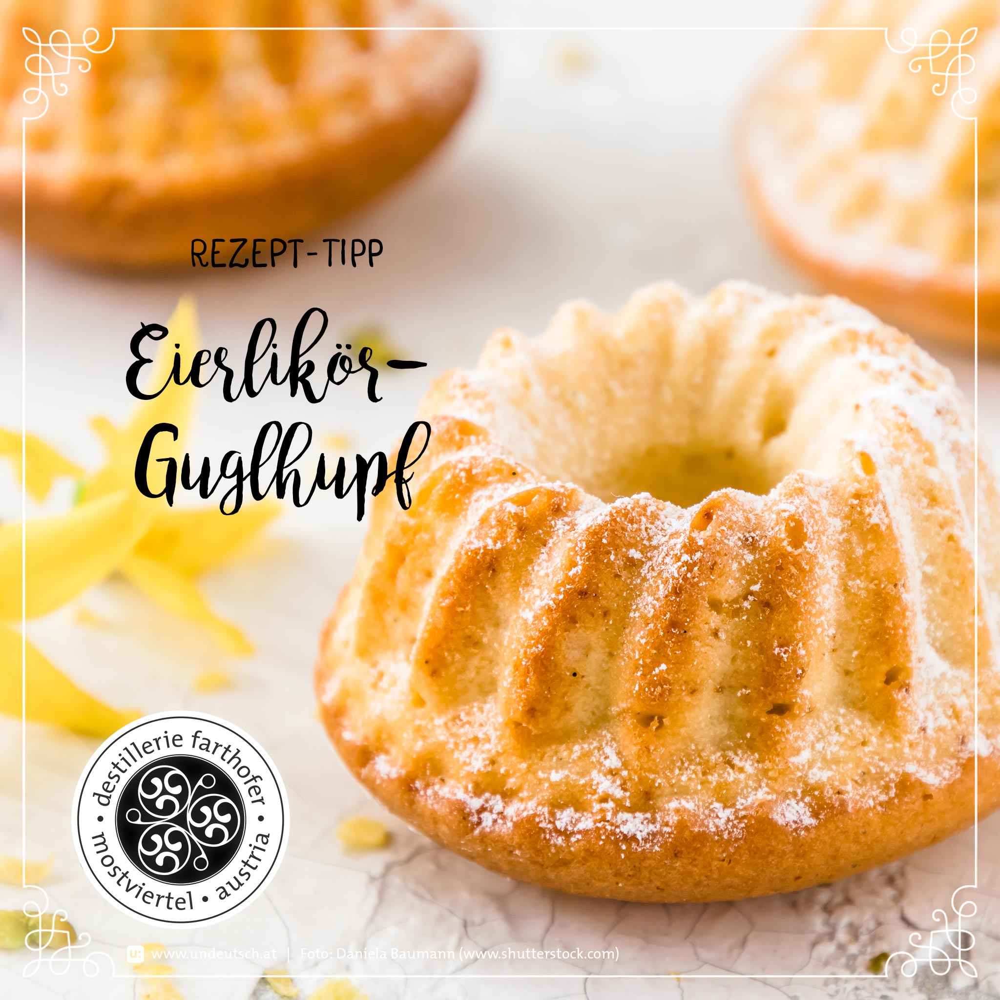 Rezept – Desserts – Eierlikör Guglhupf