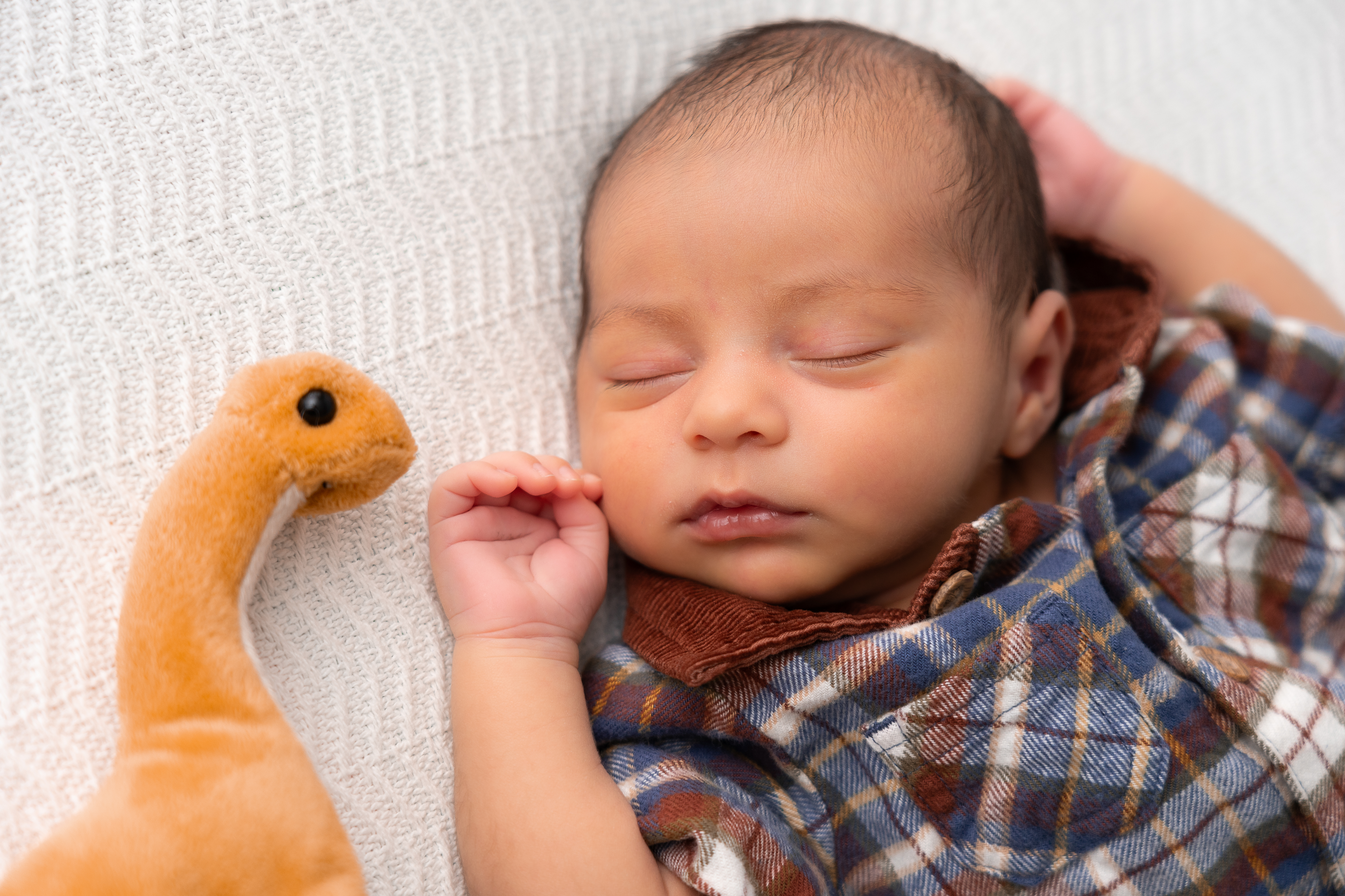 Little guy with a stuffed dino