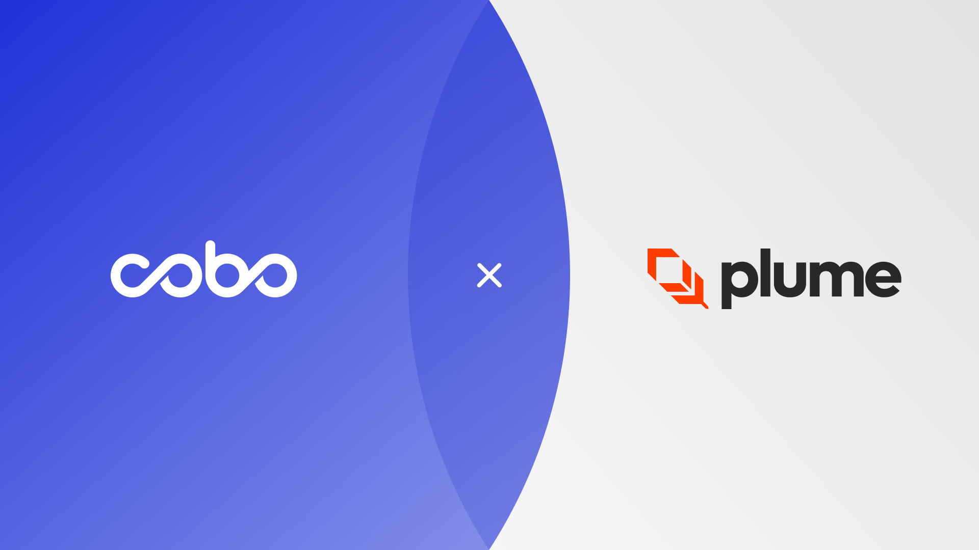 Cobo 现已集成Plume Network，进一步扩展区块链支持范围