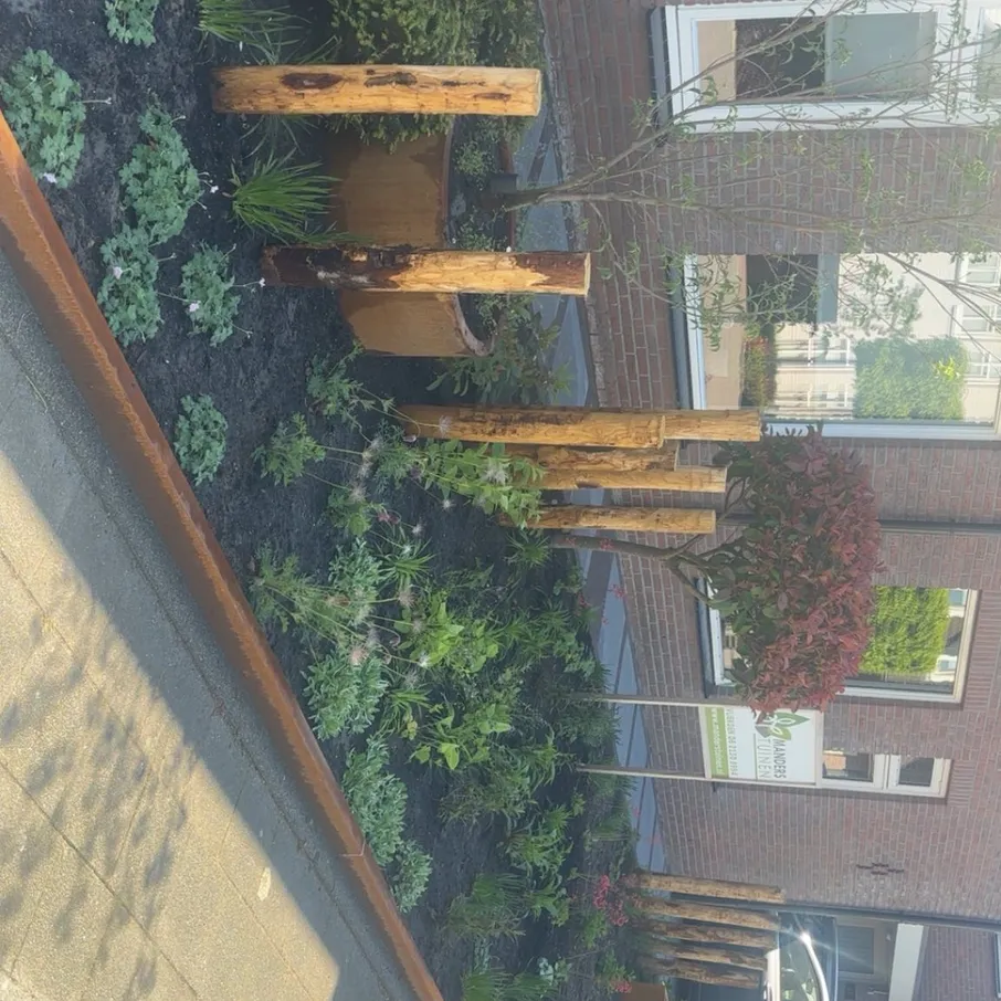 Gedeelde entree met twee unieke voortuinen in vlierden 06