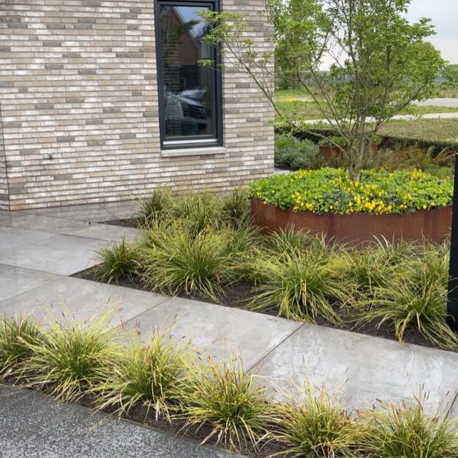 Volgroeide tuin in vlierden 04