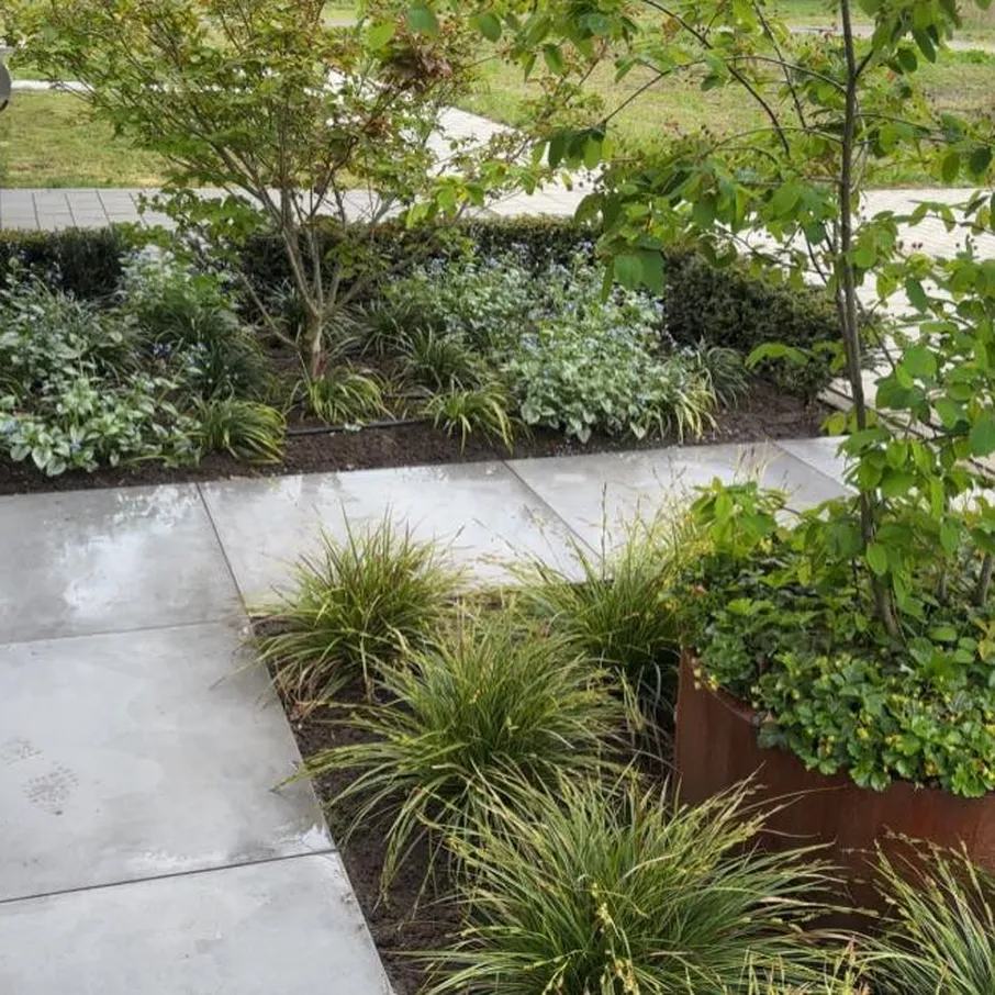 Volgroeide tuin in vlierden 01