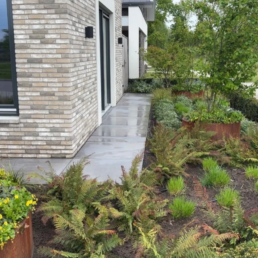 Volgroeide tuin in vlierden 07