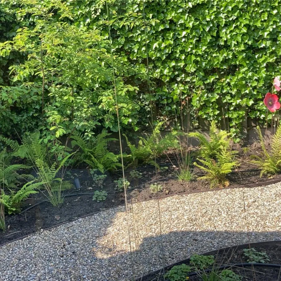 Bloemrijke achtertuin met verlichting in deurne 06