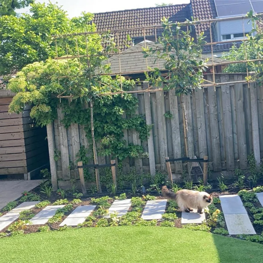 Bloemrijke achtertuin met verlichting in deurne 12