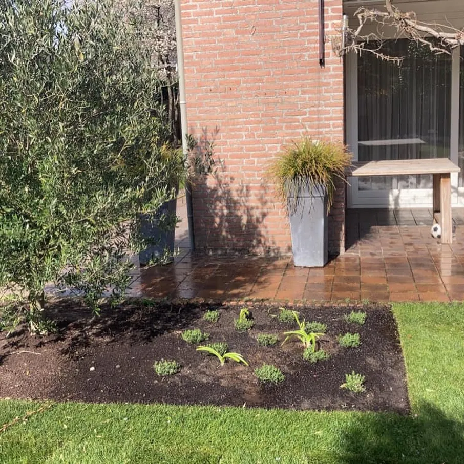 Groot groenproject in deurne 07