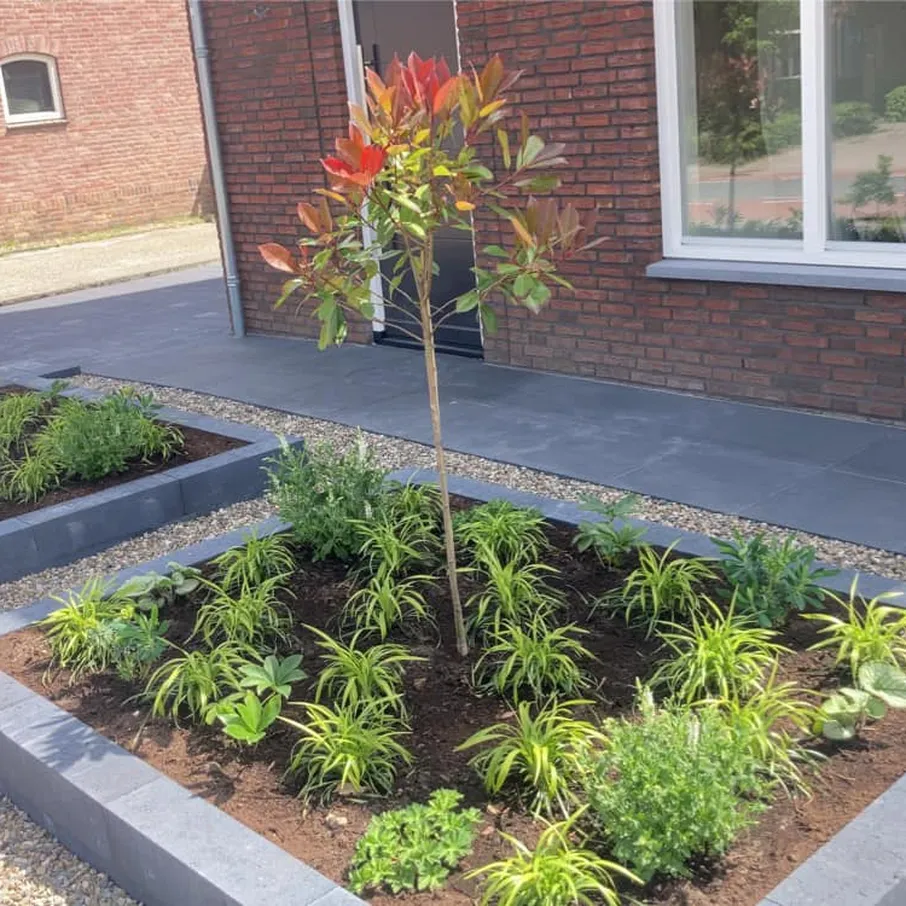 Voortuin en dubbele oprit in vlierden 05