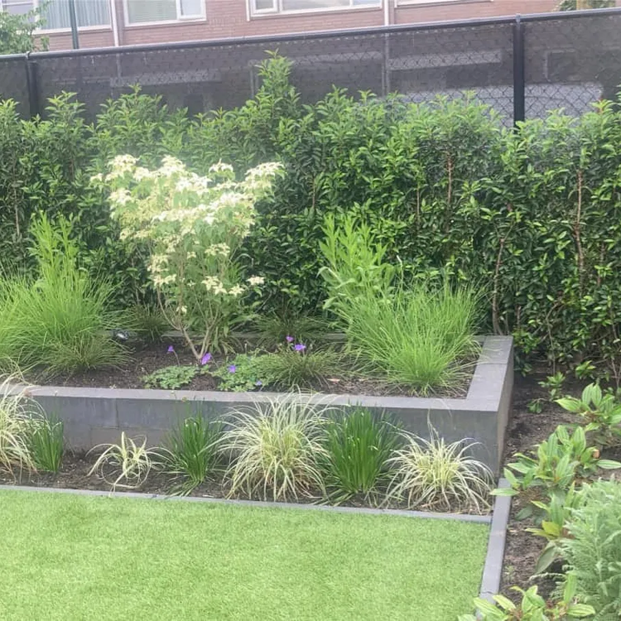 Najaarsproject tuinaanleg in bakel 07