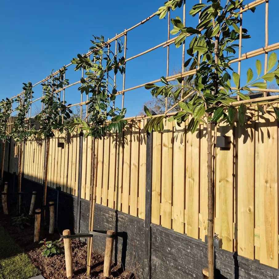 Royale tuin met keramische tegels in vlierden 04