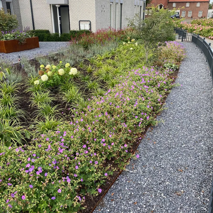 Onderhoudsvriendelijke bloementuin 02