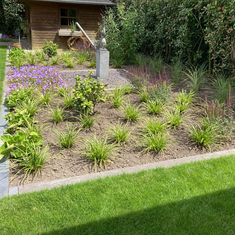 Complete tuinrenovatie met overkapping en nieuw beplantingsplan 02