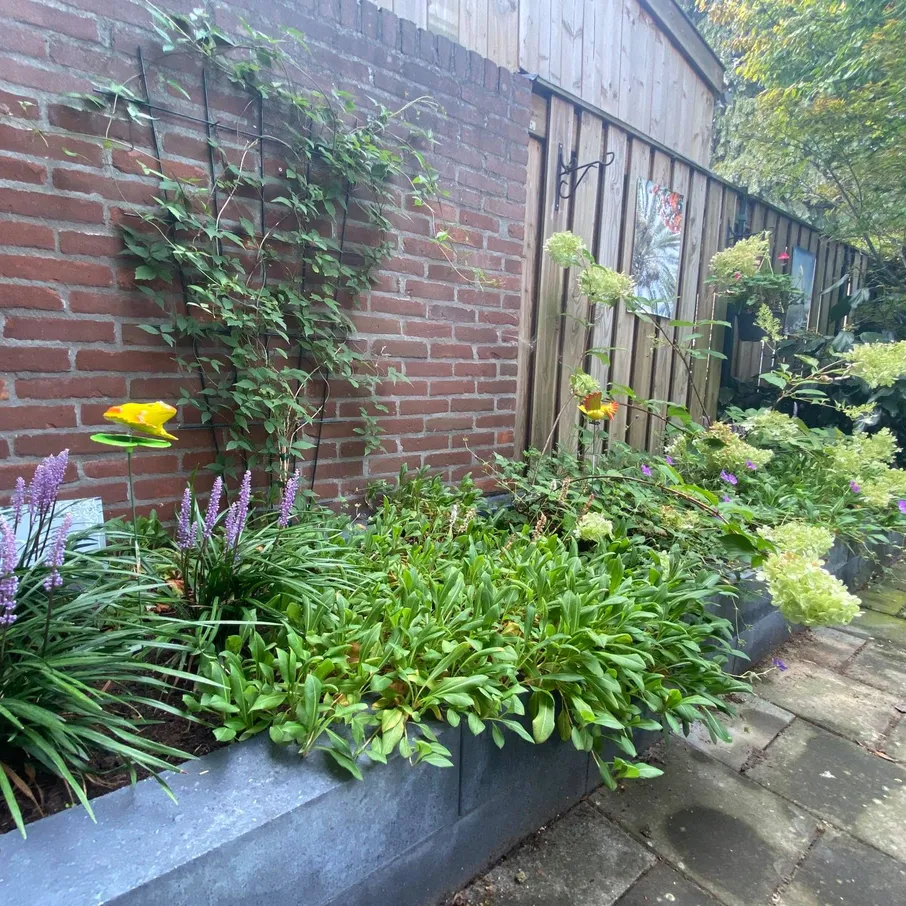 Aanleg stadstuin in deurne 05