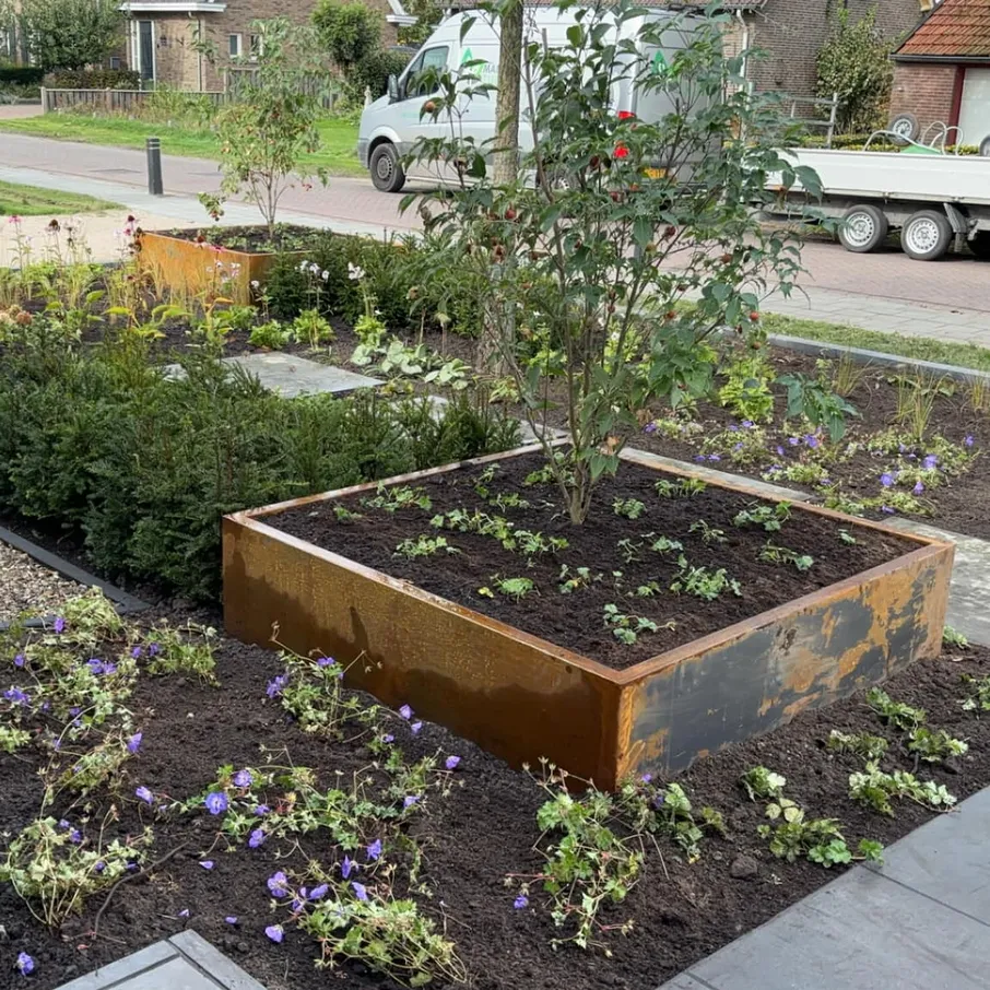 Karakteristieke tuin met cortenstaal en taxuswolken in liessel 01