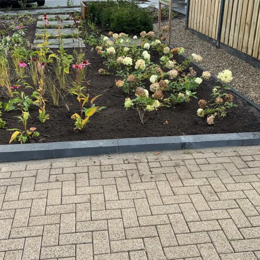 Karakteristieke tuin met cortenstaal en taxuswolken in liessel 08