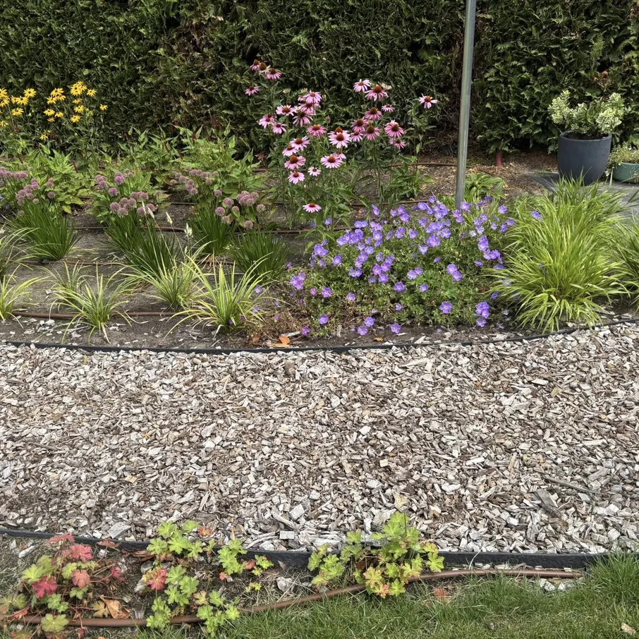 Tuinaanleg rondom nieuwbouwwoning in vlierden 02