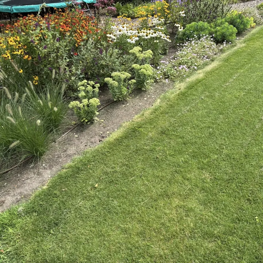 Tuinaanleg rondom nieuwbouwwoning in vlierden 03