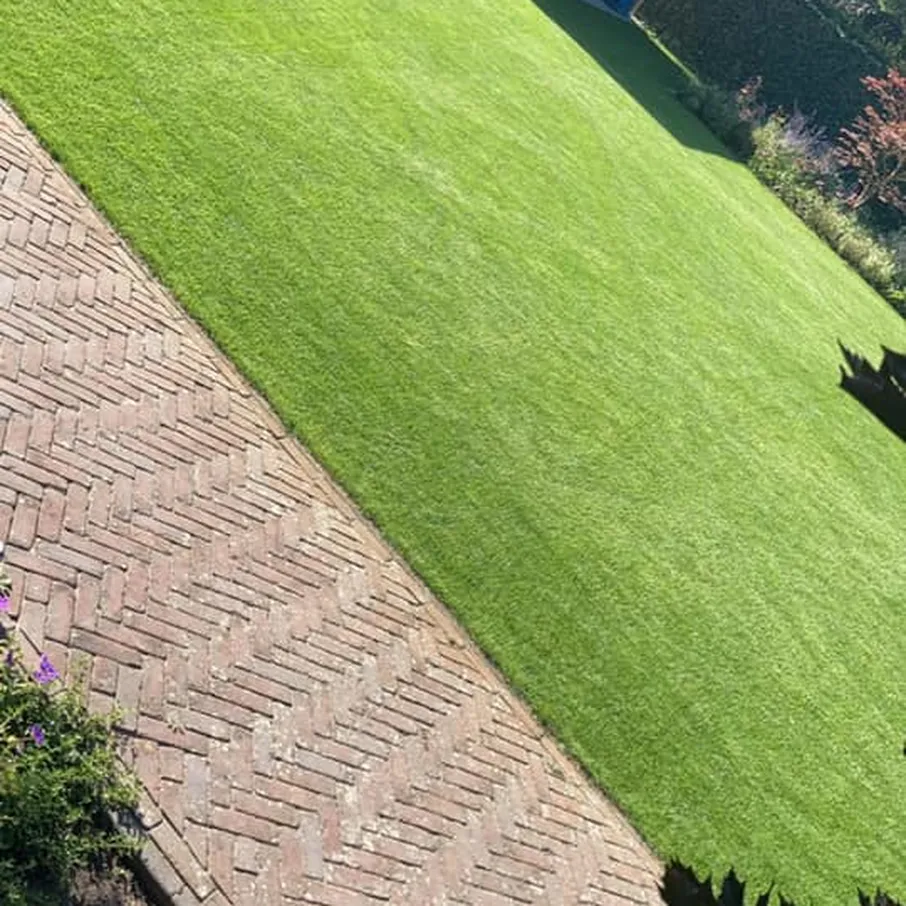 Weelderige tuin met perfect gazon in asten 08