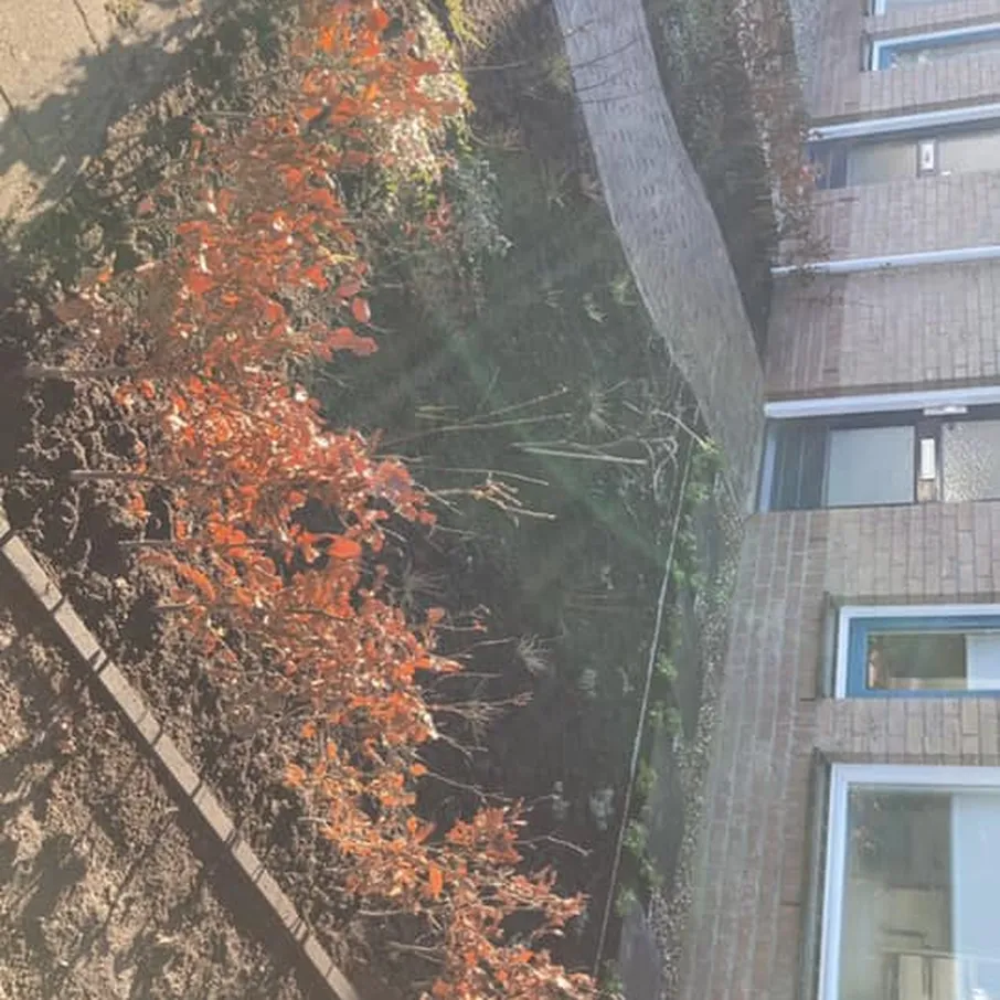 Strakke voortuin in deurne 03