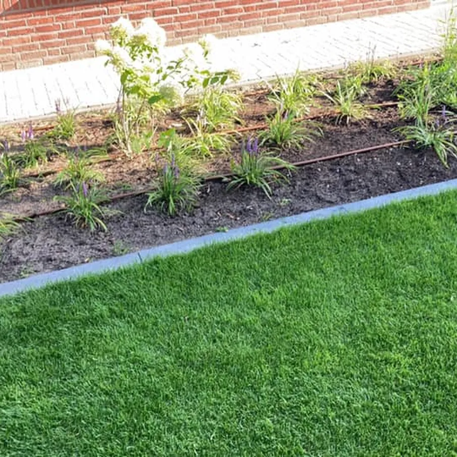 Bloeiende tuin in walsberg 01