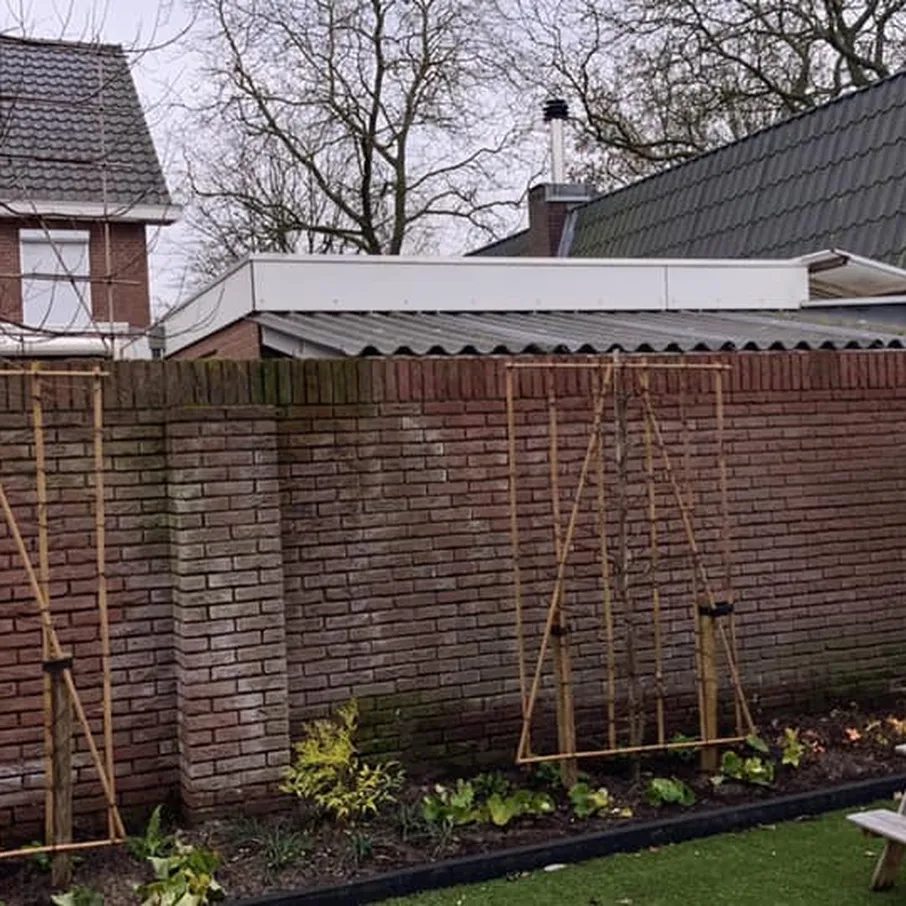 Nieuwbouwtuin met kunstgras en leibomen in bakel 03