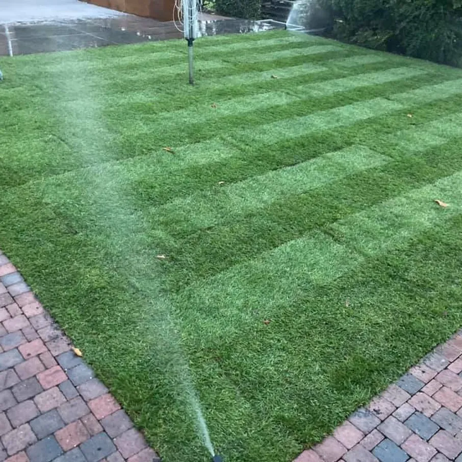 Complete tuinaanleg met geoceramica in vlierden 14