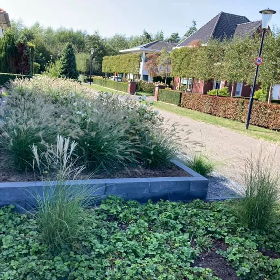Strakke moderne tuin in asten 02