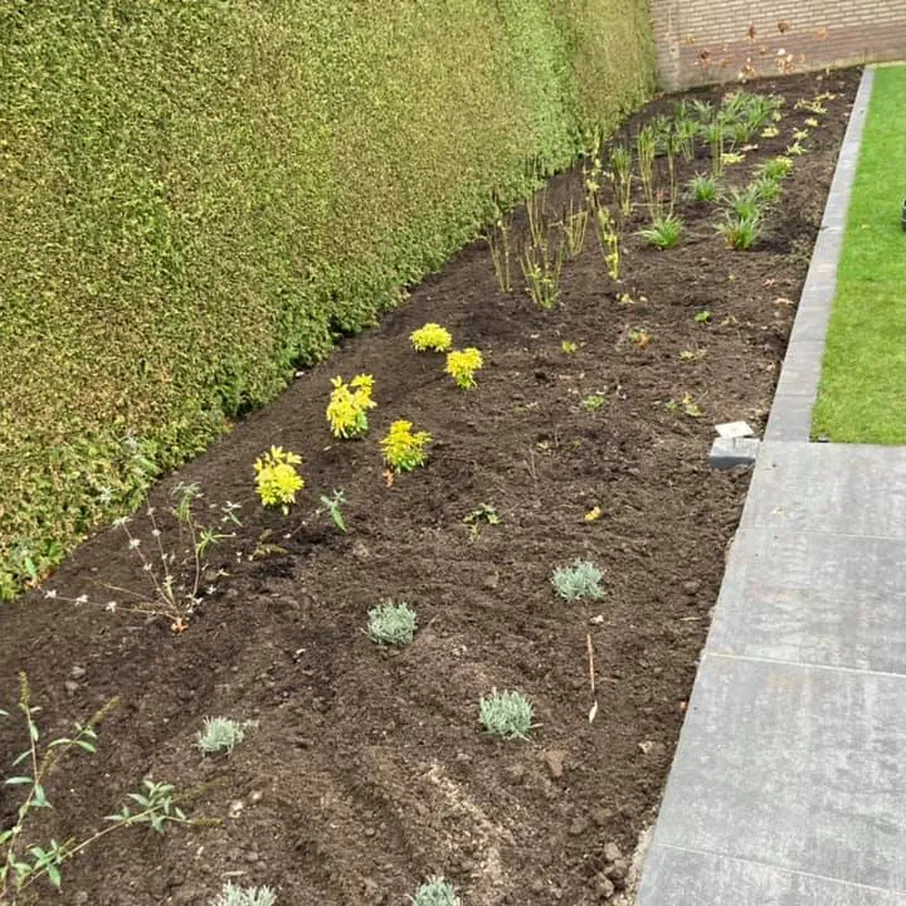High tech achtertuin in deurne 01