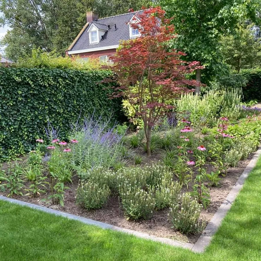 Weelderige tuin met perfect gazon in asten 06