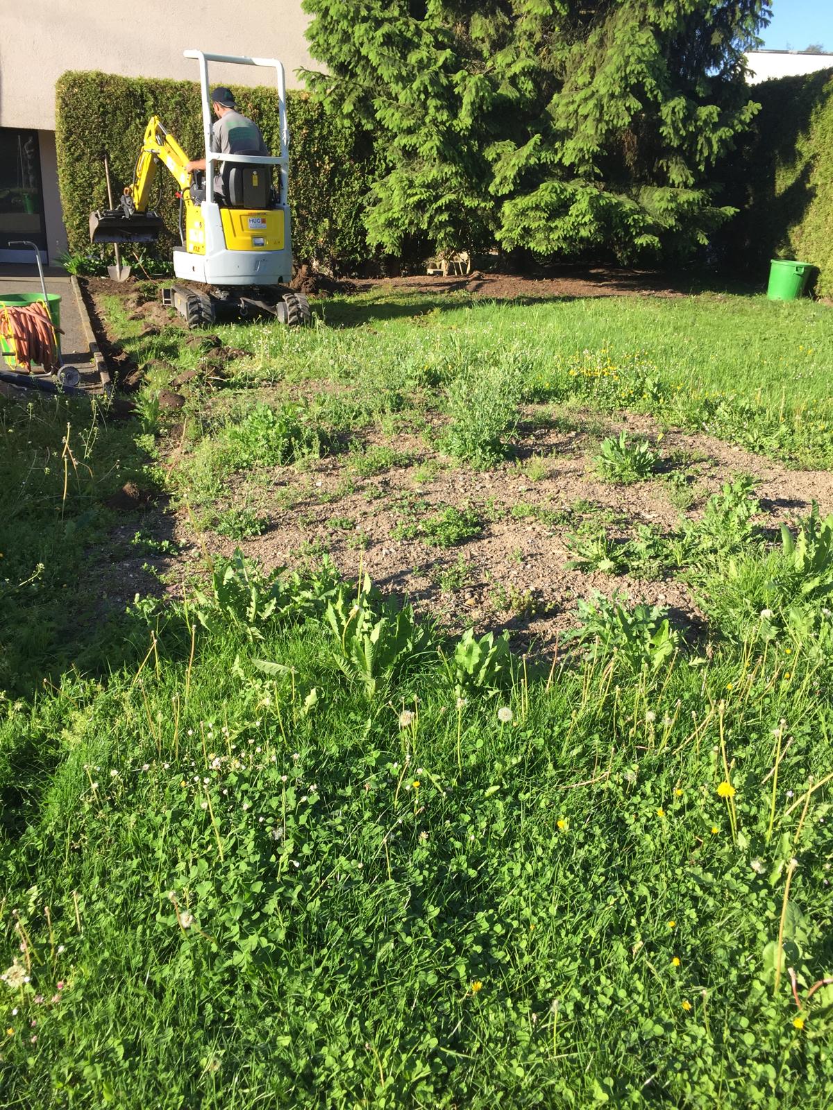 Garten vor der Renovation