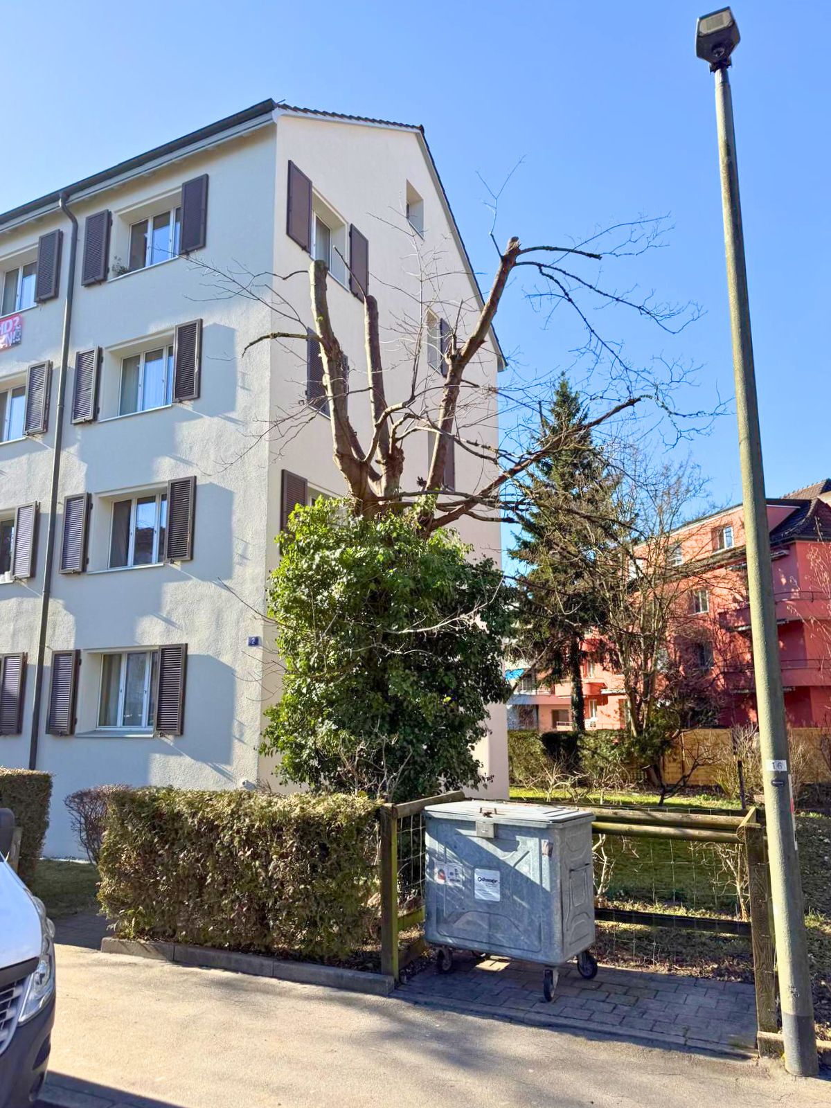 Pflegerückschnitt in Winterthur - Bild 6