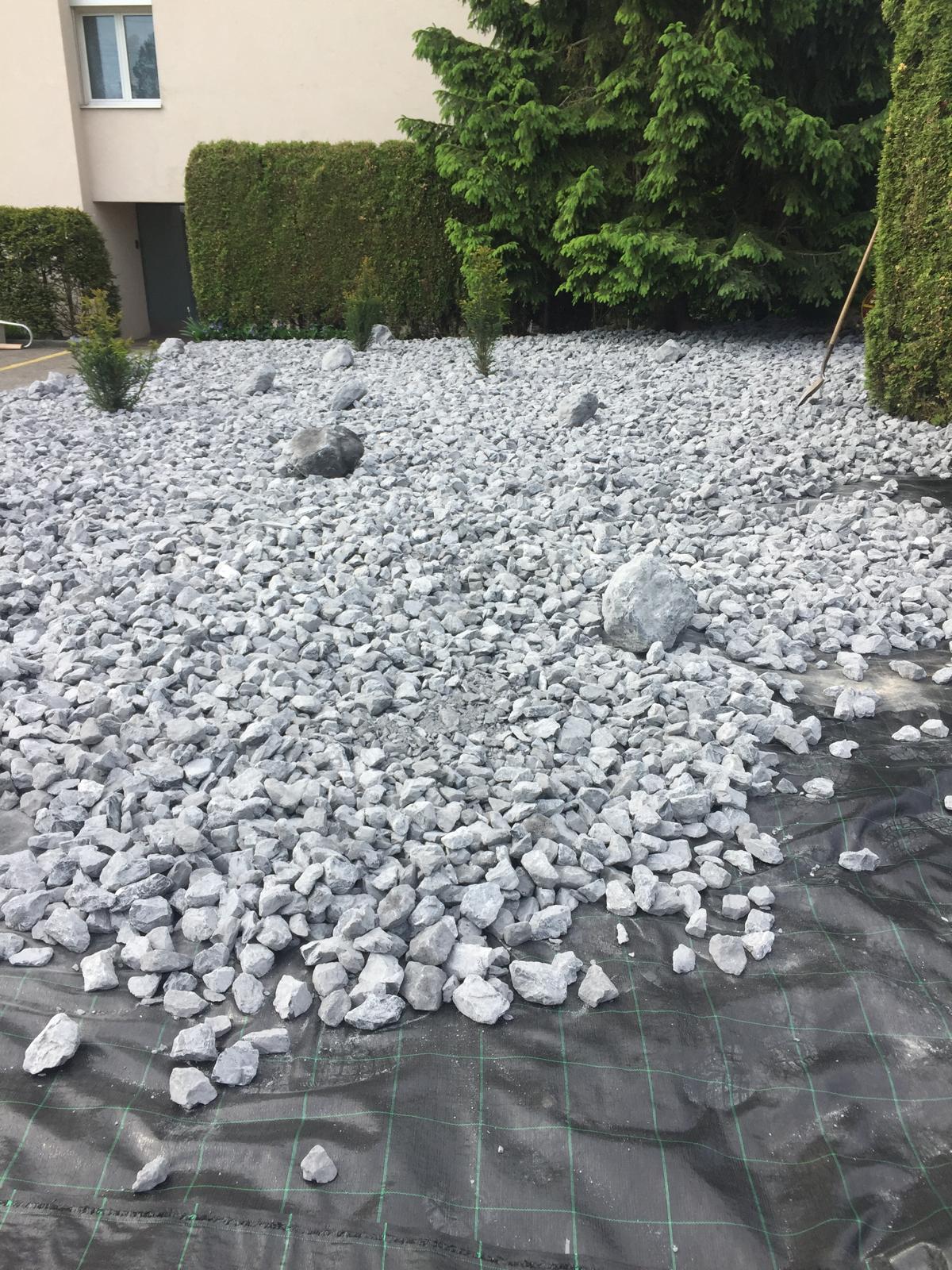 Moderner Garten nach der Neugestaltung