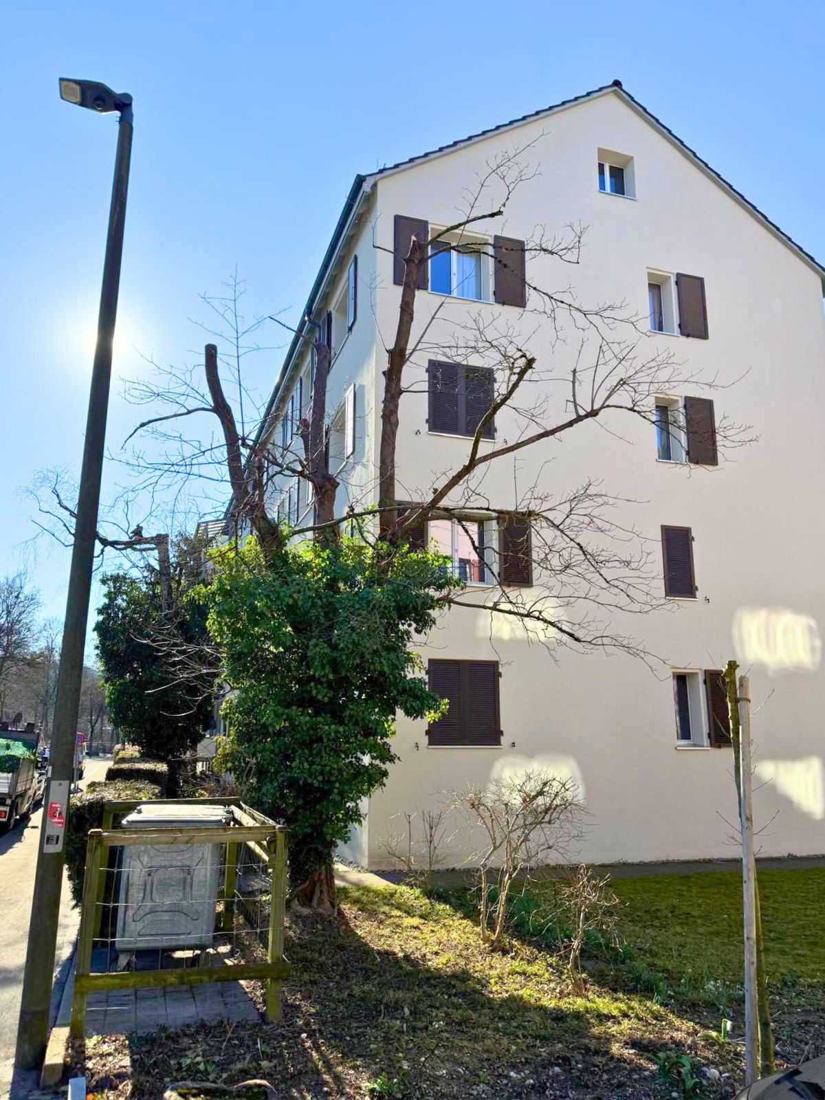 Pflegerückschnitt in Winterthur - Bild 7