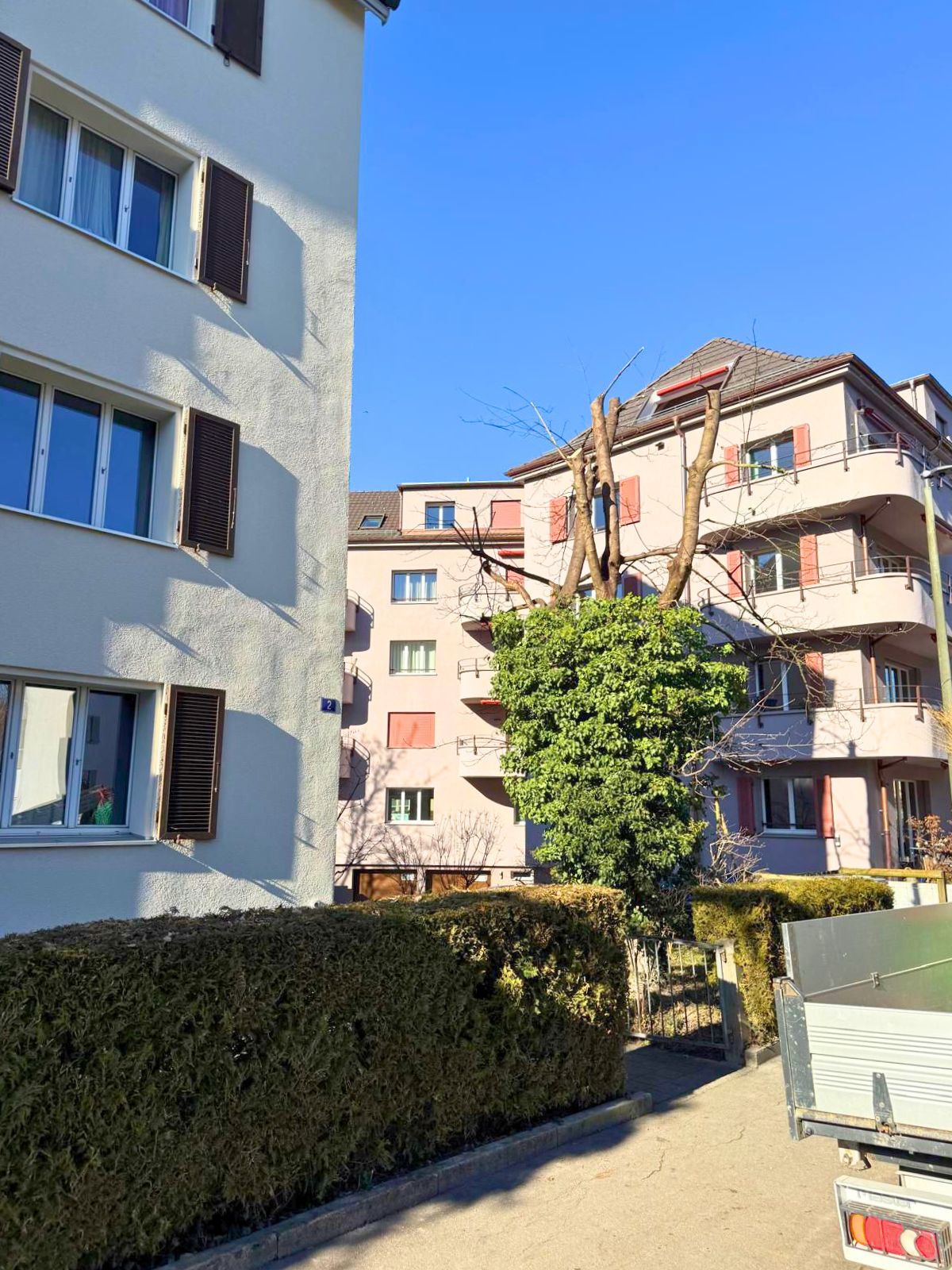 Nachher Pflegerückschnitt in Winterthur