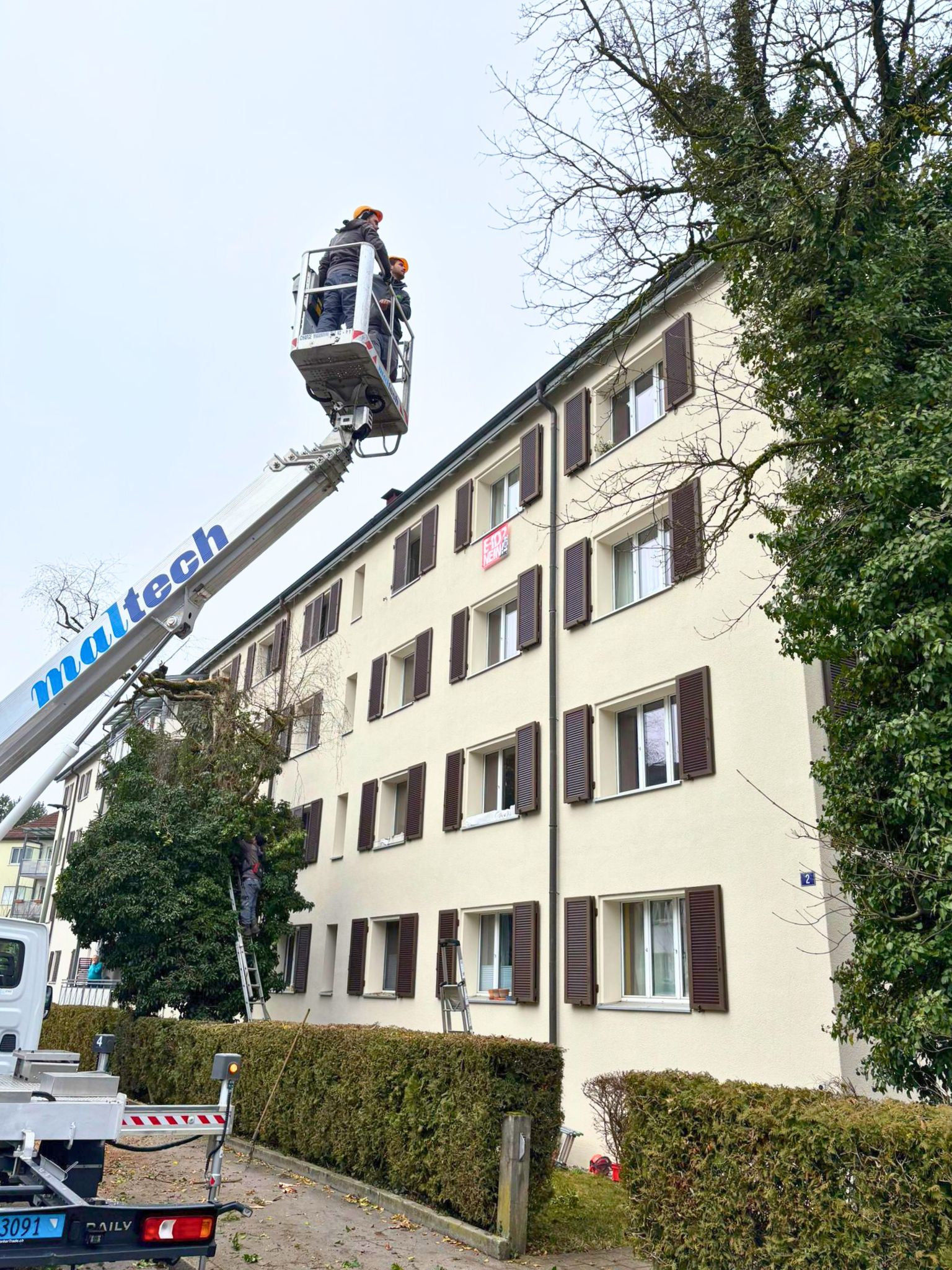 Pflegerückschnitt in Winterthur