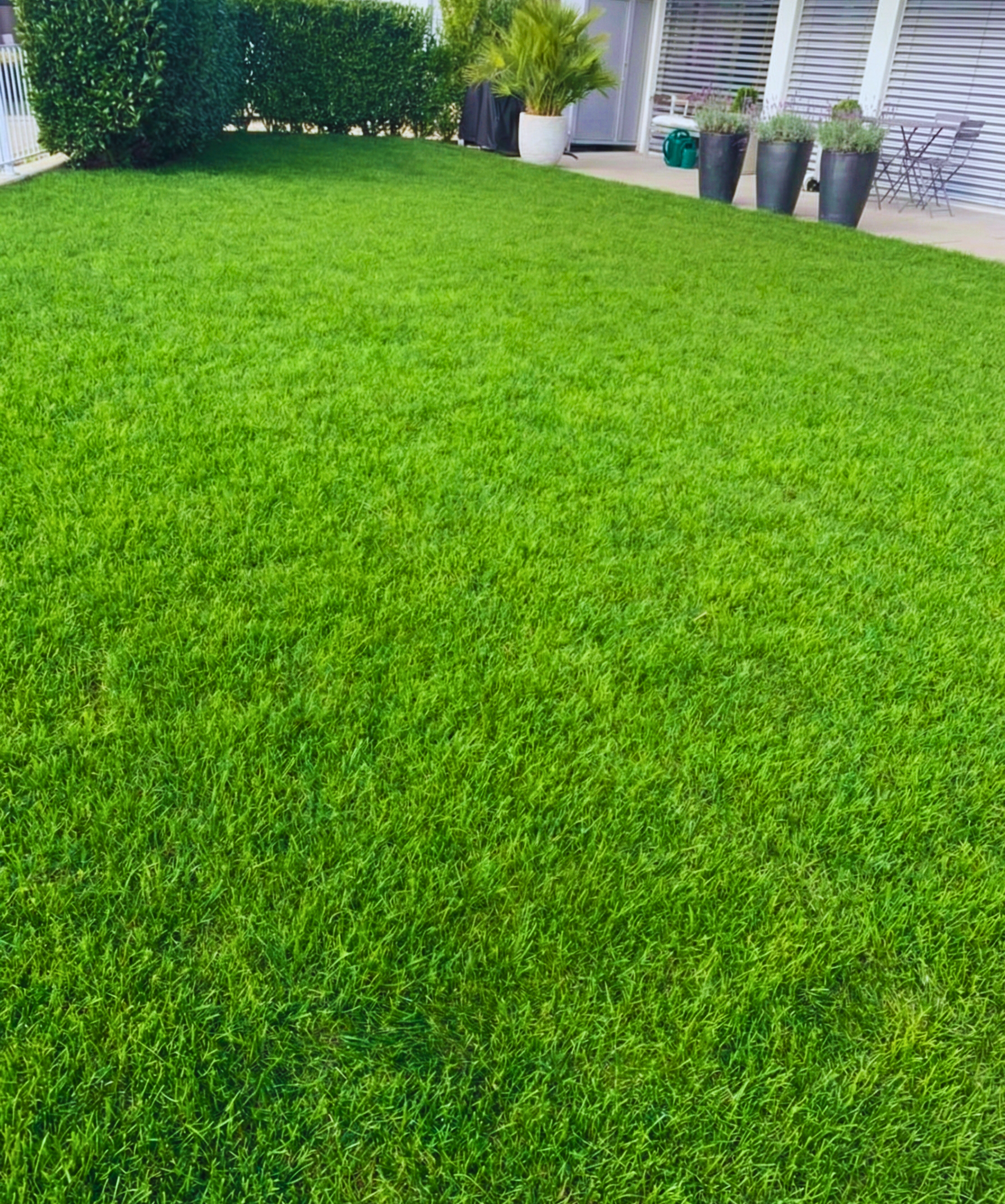 Garten nach dem Rollrasen