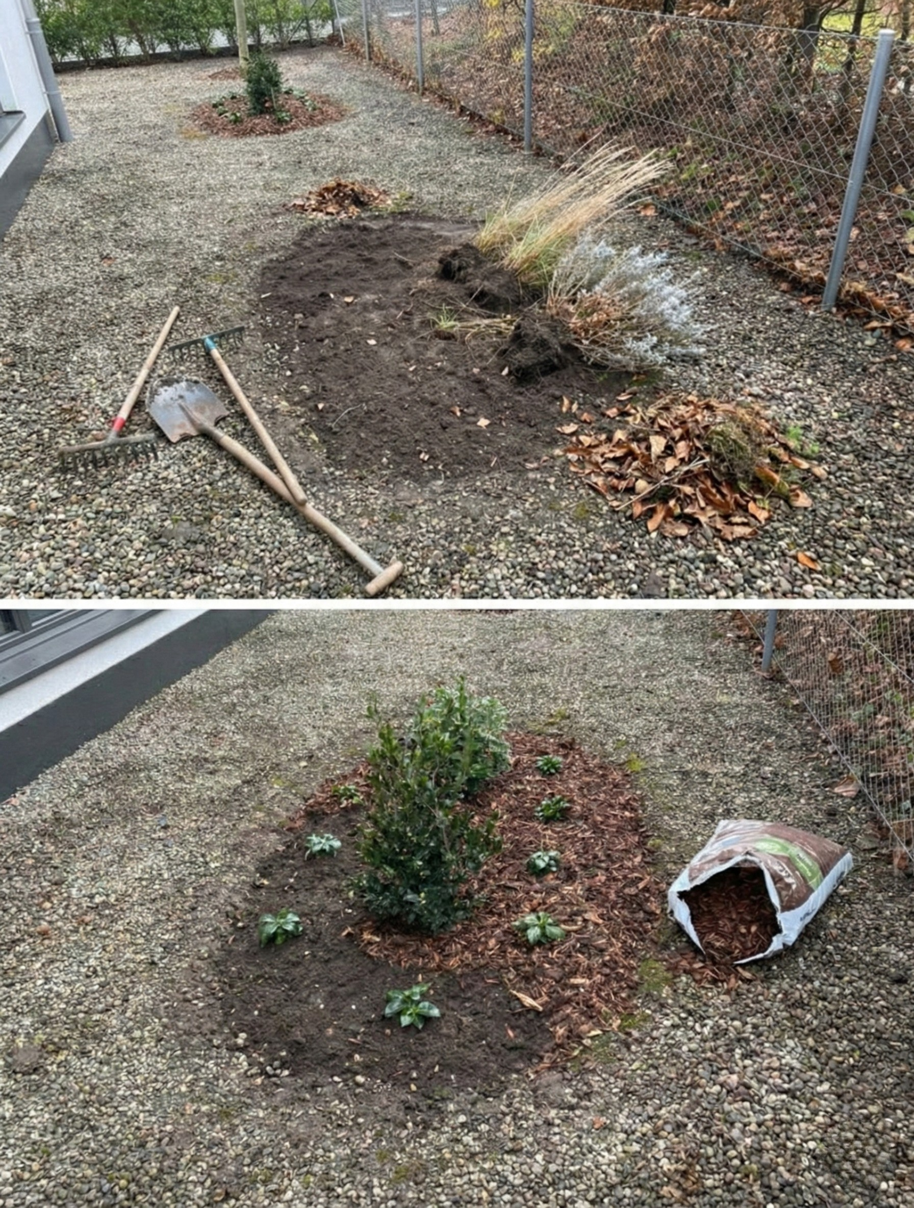 Neuer Glanz im Kiesbett in Oerlikon - Bild 3