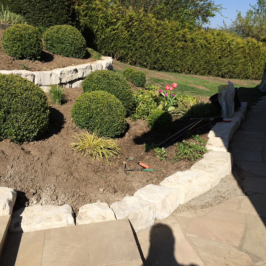 Ein Garten in Lieli von Grund auf neu gedacht - Bild 1